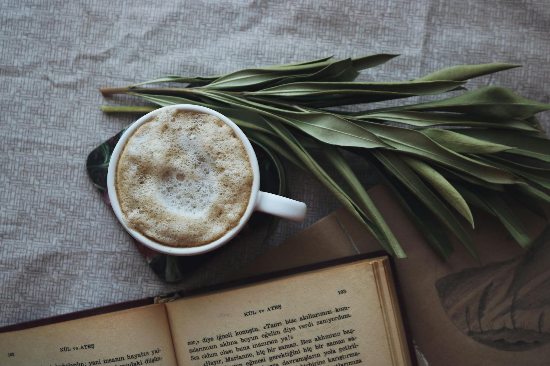 Pexels photo 9179661